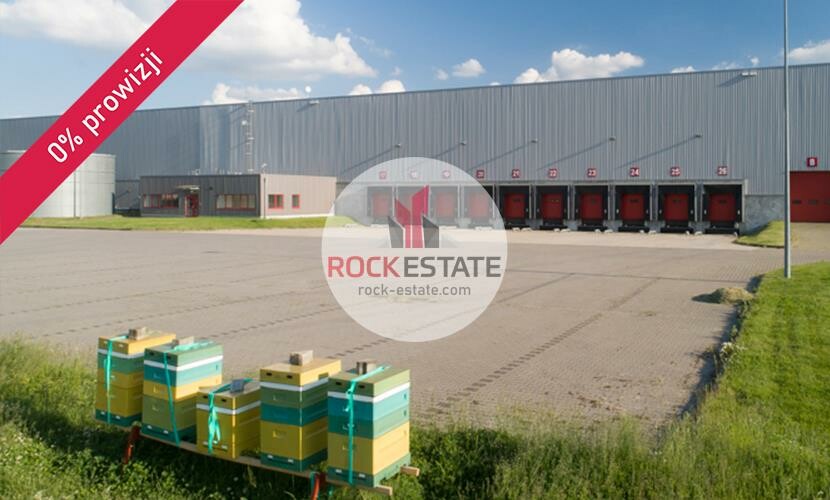 toruński, Łysomice, Łysomice, Magazyn na wynajem