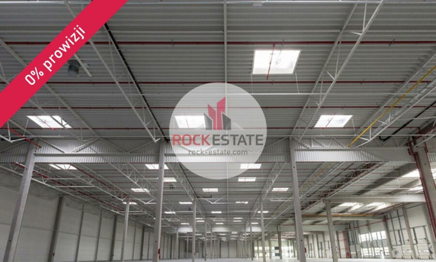 Łódź, Łódź-Widzew, Olechów, Magazyn na wynajem