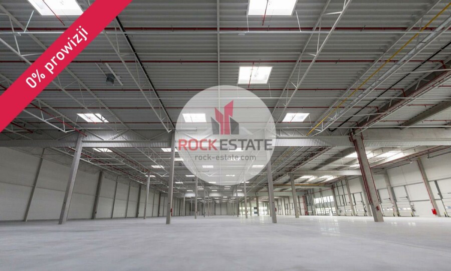 Łódź, Łódź-Widzew, Olechów, Magazyn na wynajem