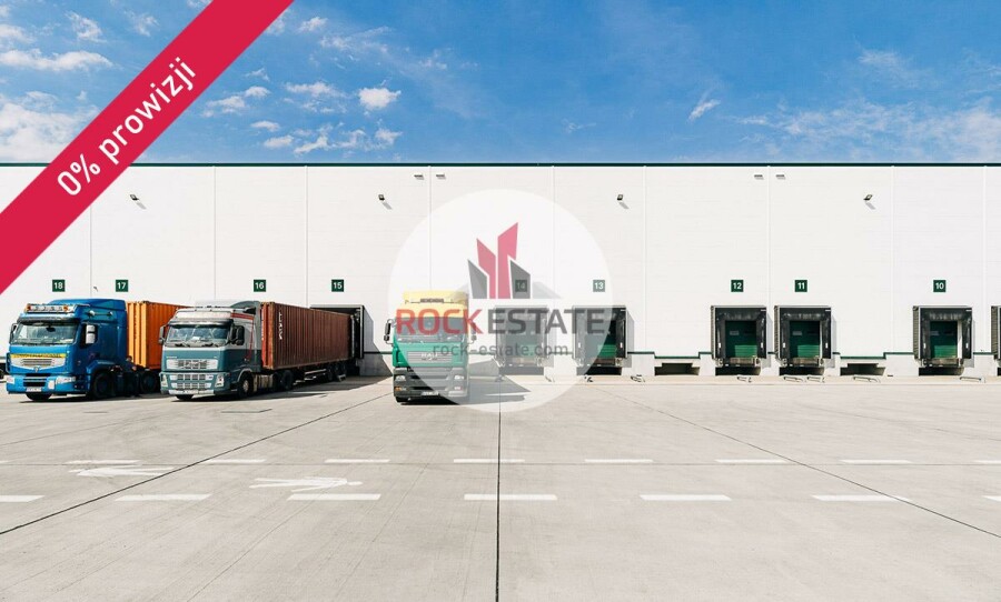 Łódź, Łódź-Widzew, Olechów, Magazyn na wynajem