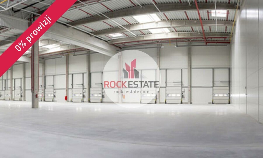 Łódź, Łódź-Widzew, Olechów, Magazyn na wynajem