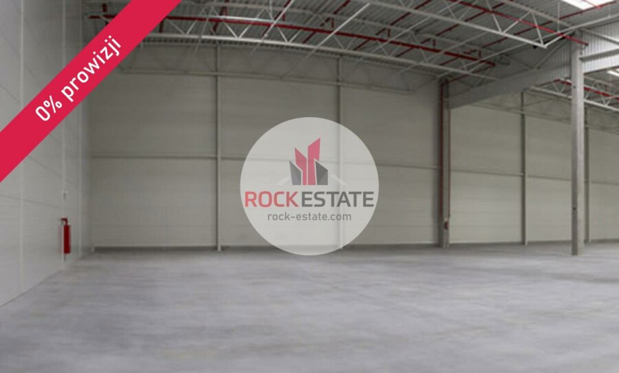 Łódź, Łódź-Widzew, Olechów, Magazyn na wynajem