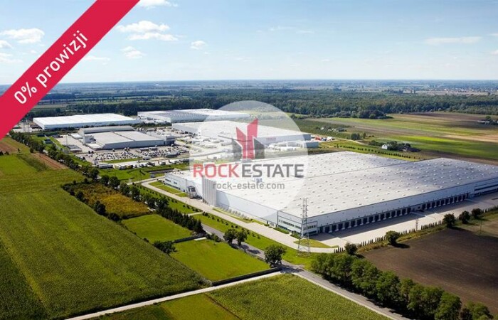 mazowieckie, sochaczewski, Magazyn na wynajem
