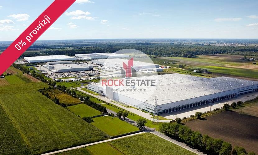 sochaczewski, Teresin, Teresin, Magazyn na wynajem