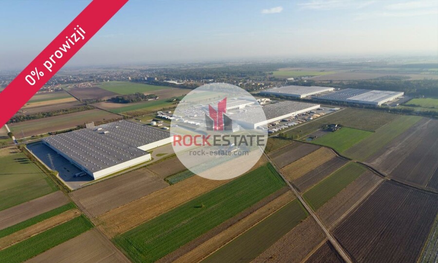 sochaczewski, Teresin, Teresin, Magazyn na wynajem