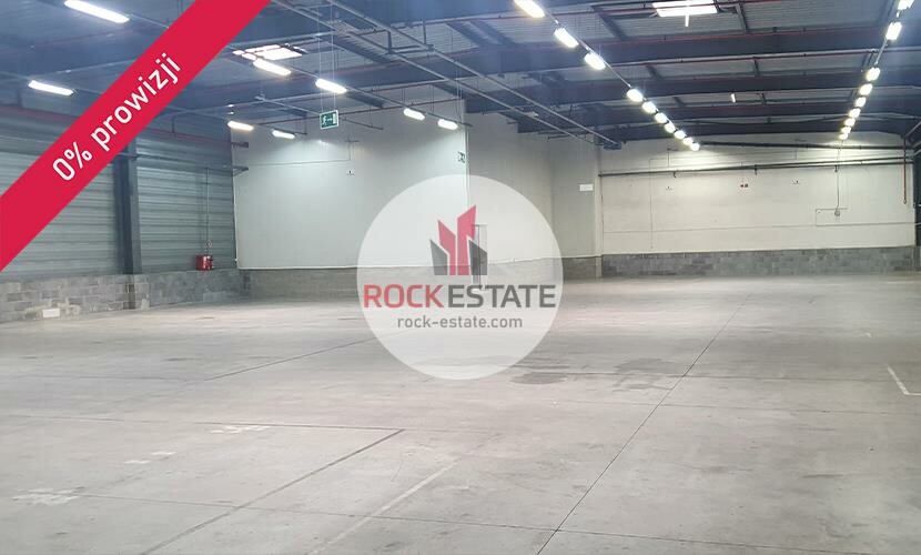 warszawski zachodni, Błonie, Radonice, Magazyn na wynajem