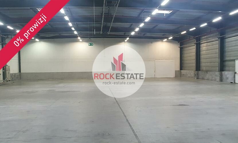 warszawski zachodni, Błonie, Radonice, Magazyn na wynajem