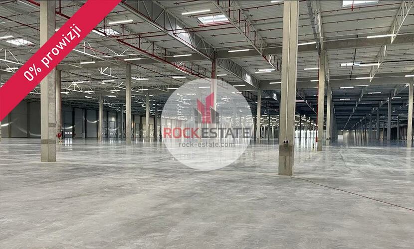 żyrardowski, Wiskitki, Starowiskitki-Parcel, Magazyn na wynajem