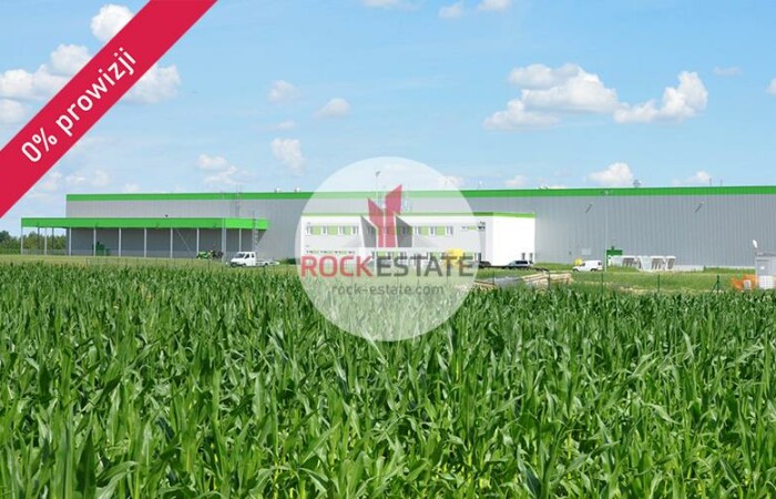 mazowieckie, warszawski zachodni, Magazyn na wynajem