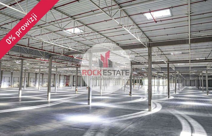 Łomna-Las, Czosnów, Warehouse for rent