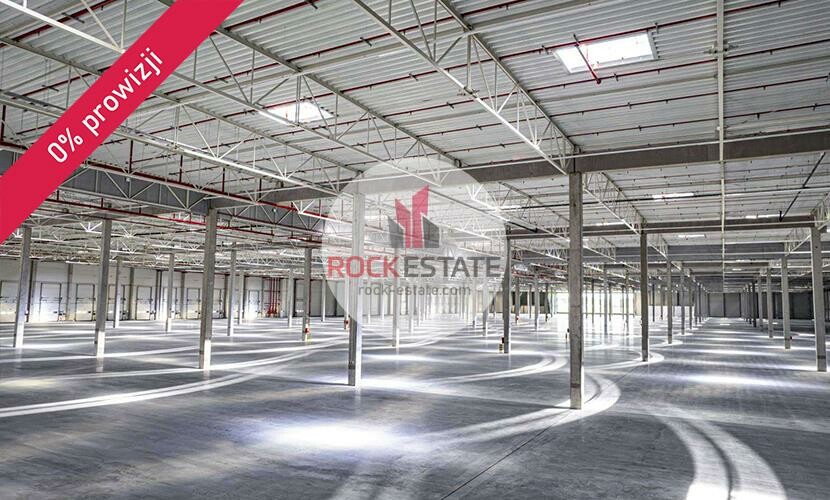 nowodworski, Czosnów, Łomna-Las, Warehouse for rent