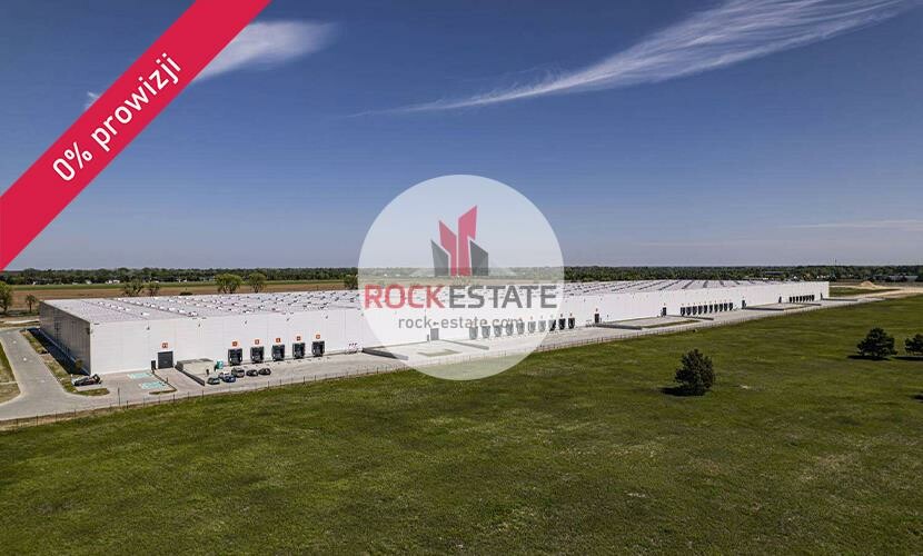 nowodworski, Czosnów, Łomna-Las, Warehouse for rent