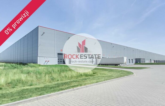 łódzkie, zgierski, Magazyn na wynajem