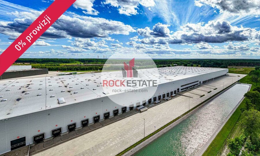 zielonogórski, Sulechów, Nowy Świat, Magazyn na wynajem