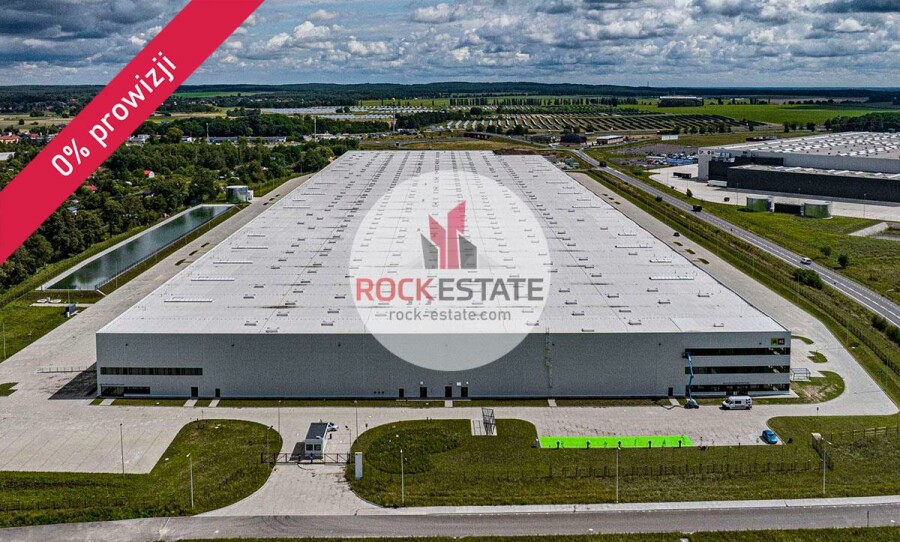 zielonogórski, Sulechów, Nowy Świat, Magazyn na wynajem