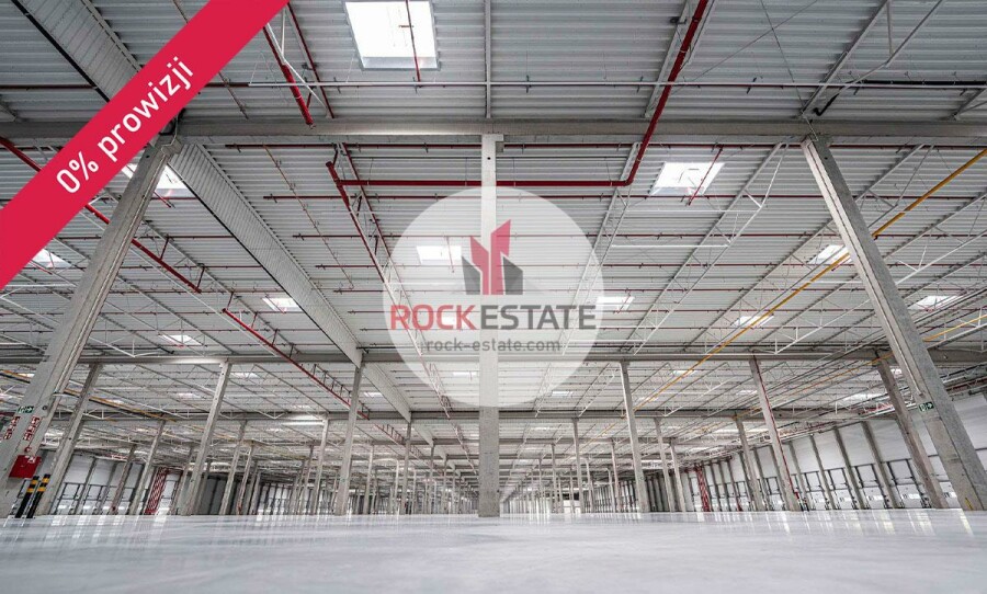 zielonogórski, Sulechów, Nowy Świat, Magazyn na wynajem