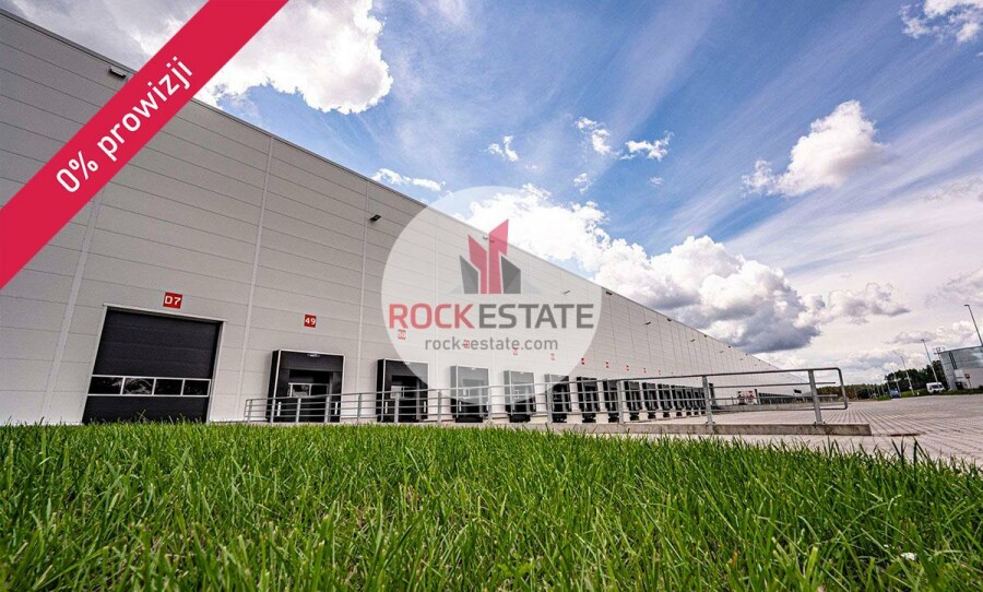 zielonogórski, Sulechów, Nowy Świat, Magazyn na wynajem