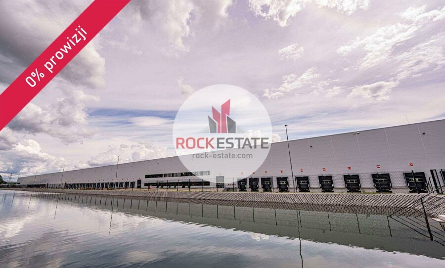 zielonogórski, Sulechów, Nowy Świat, Magazyn na wynajem