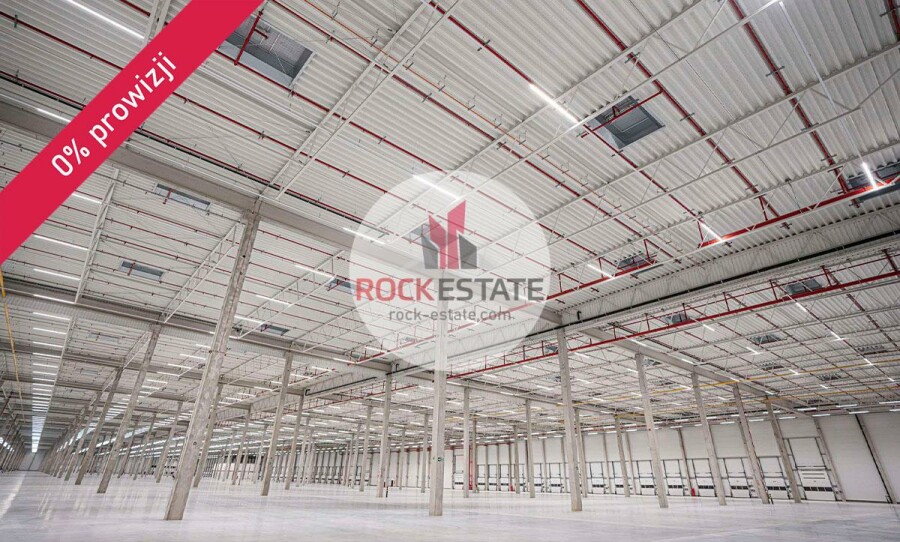 zielonogórski, Sulechów, Nowy Świat, Magazyn na wynajem