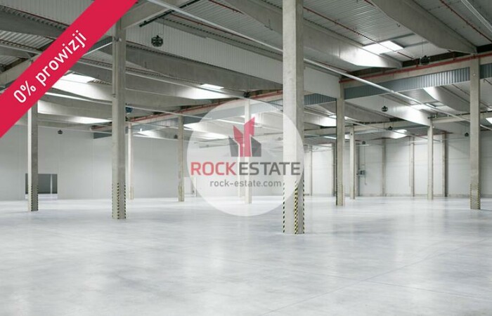 Złotniki, Suchy Las, Magazyn na wynajem