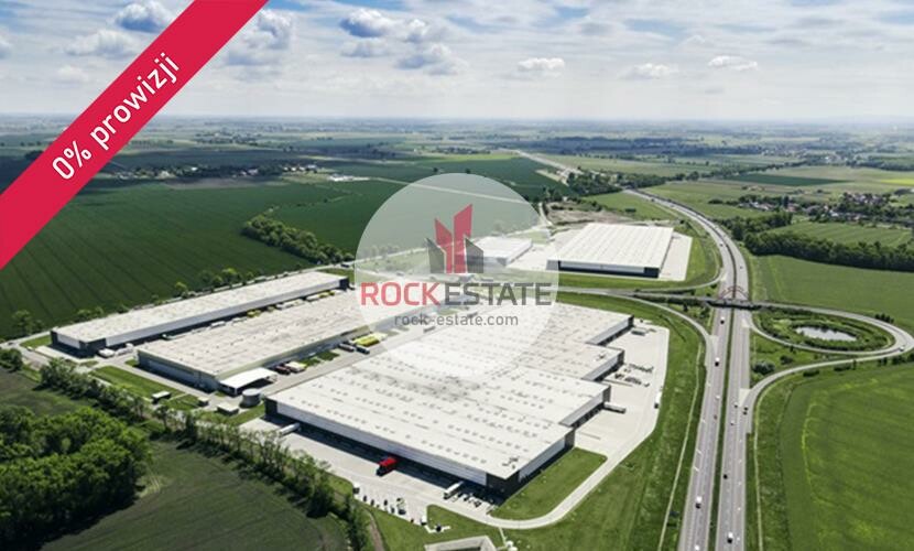 wrocławski, Żórawina, Wojkowice, Magazyn na wynajem