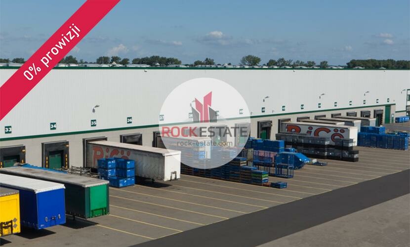 poznański, Tarnowo Podgórne, Sady, Magazyn na wynajem