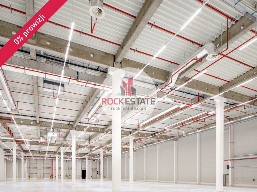 warszawski zachodni, Błonie, Błonie-Wieś, Magazyn na wynajem