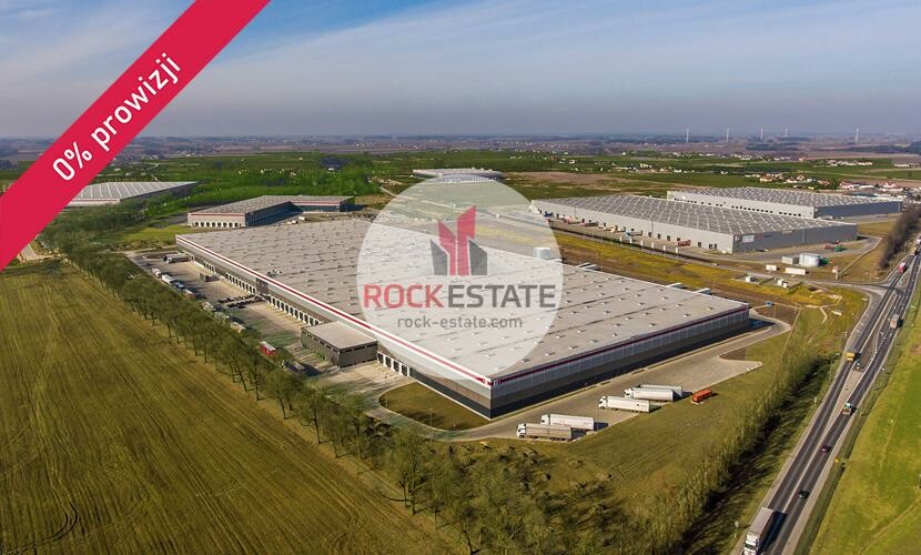 piotrkowski, Grabica, Kafar, Magazyn na wynajem