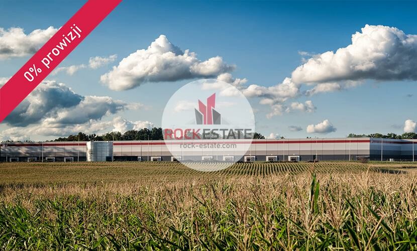 piotrkowski, Grabica, Kafar, Magazyn na wynajem