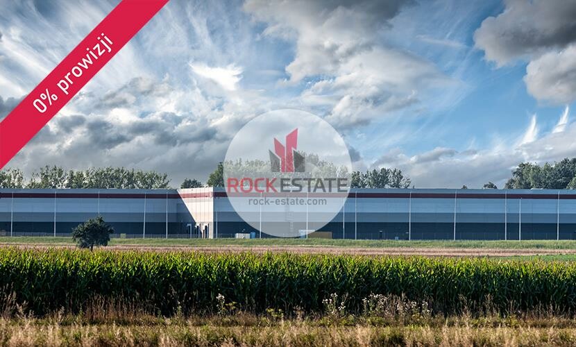 piotrkowski, Grabica, Kafar, Magazyn na wynajem