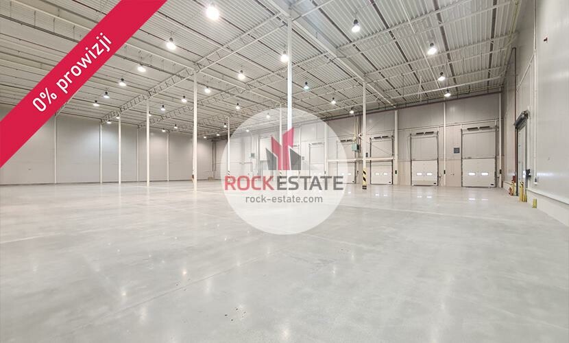 Gliwice, Warehouse for rent